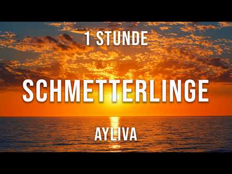 AYLIVA - Schmetterlinge - 1 Stunde