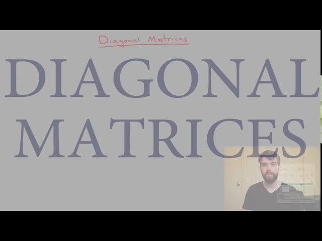 Diagonal Matrix Pytorch: The Best of Both Worlds