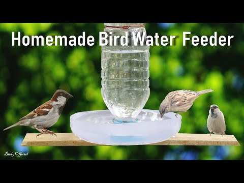 How To Make A Bird Water Feeder | DIY Homemade Plastic Bottle Bird Water Feeder - UCAklOK6vEF9OhHkMzZeqbNg