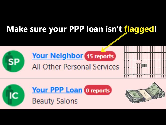 What is a Flagged PPP Loan?