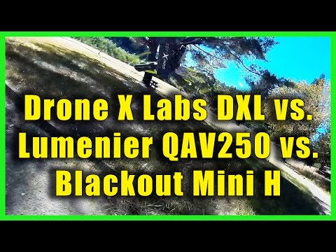 Drone Racing Lumenier QAV250, Drone X Labs DXL, Blackout Mini H - UCD6PrPYRMK2tnEVMpUromcQ