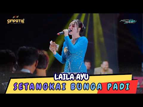LAILA AYU - SETANGKAI BUNGA PADI - SIMPATIK MUSIC - REXCEL REBORN KETEPENG ROWOYOSO PEKALONGAN