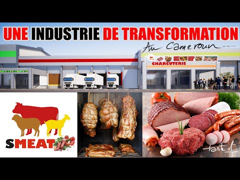 Proposal for a industrial livestock processing complex in food products at Ngaoundéré 