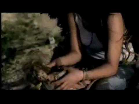 Evanescence - Taking Over Me