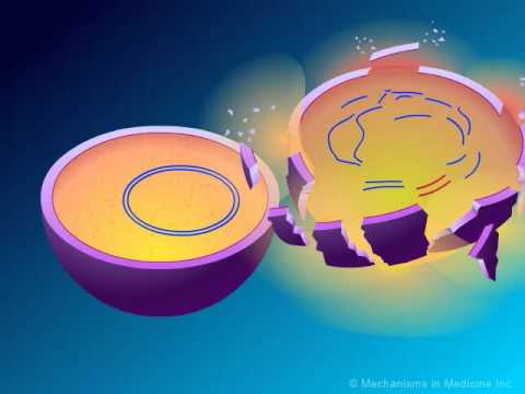 ß-Lactams: Mechanisms of Action and Resistance - UCvl8mk9dKfhidf8oVhYkaOg