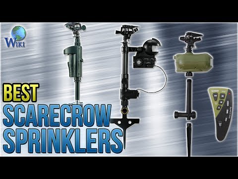 8 Best Scarecrow Sprinklers 2018 - UCXAHpX2xDhmjqtA-ANgsGmw