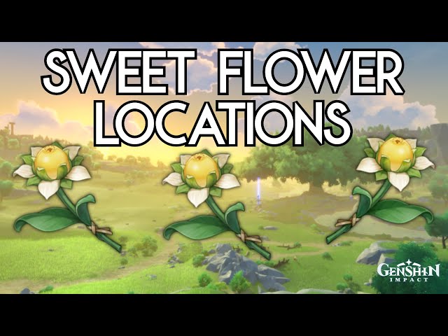How to Get Sweet Flower in Genshin Impact? Sweet Flower Locations
