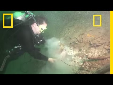 Diver 'VANISHES' in Portal to Maya Underworld | National Geographic - UCpVm7bg6pXKo1Pr6k5kxG9A