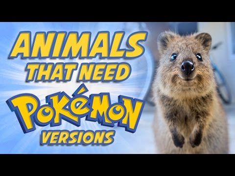 Top 5 Animals That Need Pokemon Versions - UCfwBt8Kr8EeEV_Jft9L4TYA