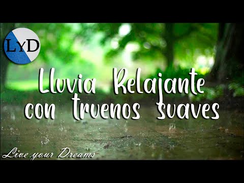 8 Horas de Sonidos de Lluvia y Truenos: Sonidos de la Naturaleza para Dormir, Relajarse, Estudiar HD - UC-NNIG5qSppCk2grs_7NYMQ