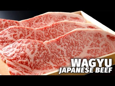 Japan's Most Expensive Beef | Wagyu - UCHL9bfHTxCMi-7vfxQ-AYtg