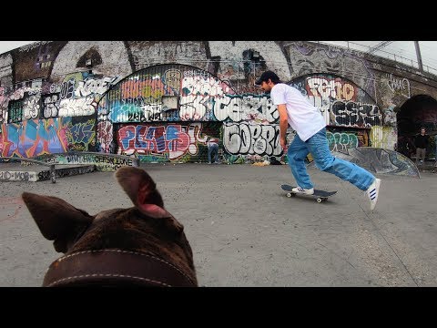 GoPro Skate: Follow Cam Dog in 4K - UCqhnX4jA0A5paNd1v-zEysw