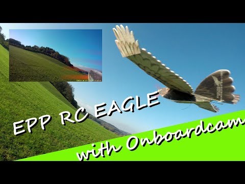 EPP RC Eagles / RC Adler mit V Leitwerk  Onbordkamera Slow Flyer 2 Kanal - UCNWVhopT5VjgRdDspxW2IYQ