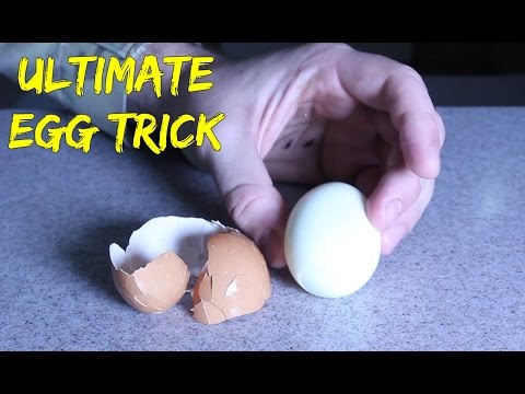 You’ve Been Peeling Hard-Boiled Eggs Wrong - UCe_vXdMrHHseZ_esYUskSBw