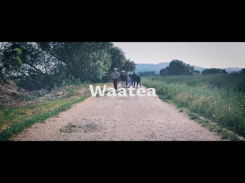 Clem Beatz - Waatea (Official Music Video) - UCpO0OSNAFLRUpGrNz-bJJHA