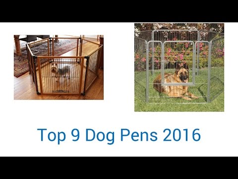 9 Best Dog Pens 2016 - UCXAHpX2xDhmjqtA-ANgsGmw