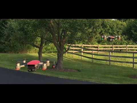 Is this the DJI Spark 2 or Are You Dreaming? The C-Fly Dream - UCDAcUpbjdmKc7gMmFkQr6ag