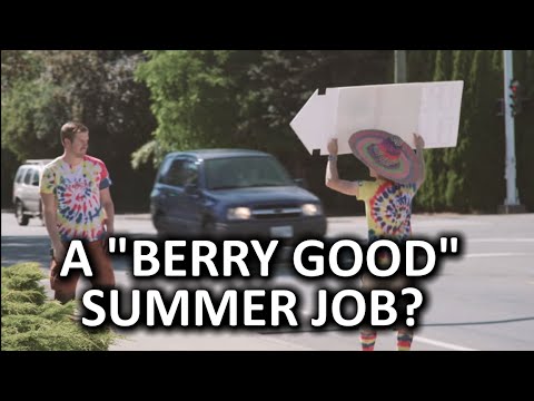 Summer Job Selling Berries - Laptop or Bust ep2 - UCXuqSBlHAE6Xw-yeJA0Tunw