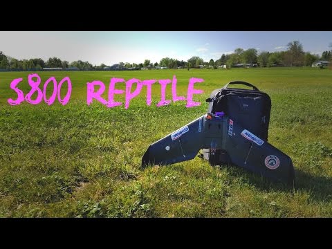 s800 Reptile maiden // Fixed Wing - UCwu8ErWfd6xiz-OS4dEfCUQ