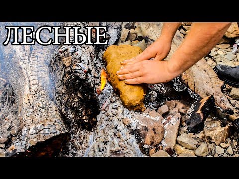 Дикая кухня - РЫБА В ГЛИНЕ | Steamed Fish In Clay - default