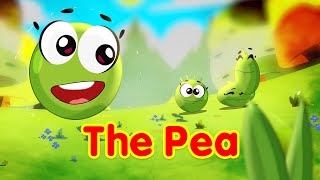 The Pea - Toyor Baby English