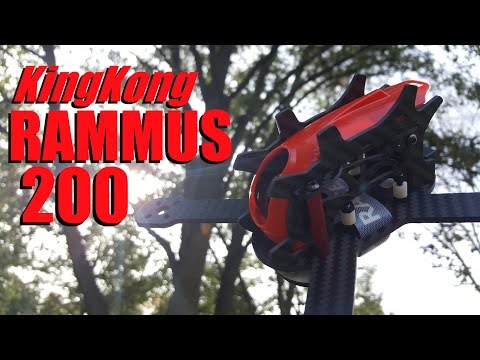 KingKong RAMMUS200 Frame Review from Banggood - UC92HE5A7DJtnjUe_JYoRypQ