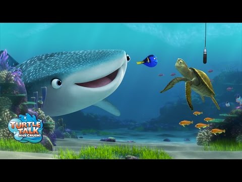 Finding Dory characters added to Turtle Talk with Crush at Epcot - UCFpI4b_m-449cePVasc2_8g