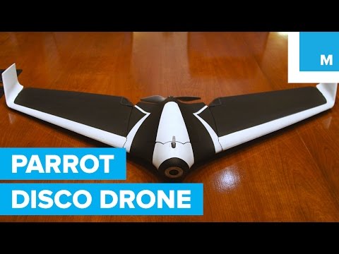 Parrot Disco Drone Early Look | Mashable CES 2016 - UCL8Nxsa1LB9DrMTHtt3IKiw