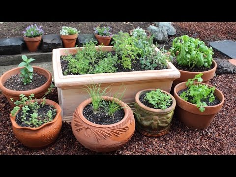 How to Plant a Culinary Herb Garden! DIY Kitchen Garden - UCRIZtPl9nb9RiXc9btSTQNw