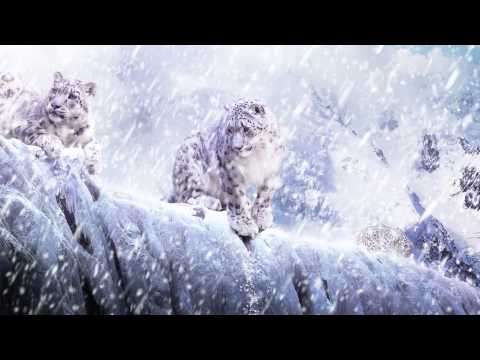 "We Are Chill" Beautiful Winter Mix - UCpEYMEafq3FsKCQXNliFY9A