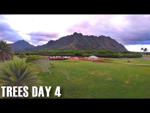 Hawaii FPV Day 4 - FPV Dance with some Hawaiian Trees :D - UCOT48Yf56XBpT5WitpnFVrQ