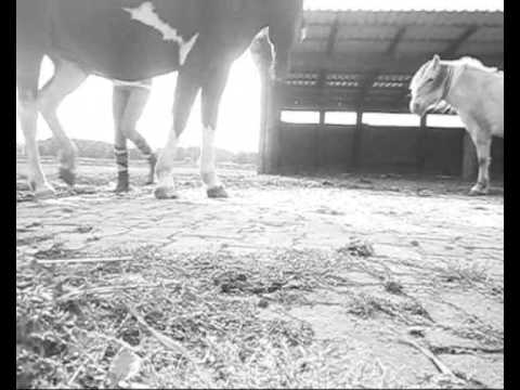 мєιη мä∂¢нєη υη∂ ι¢н ...