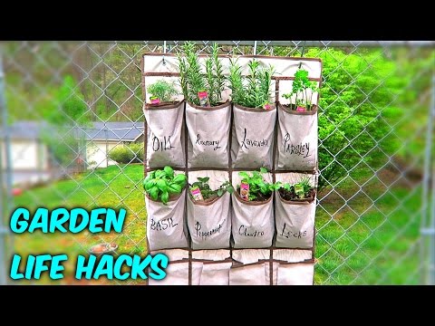 6 Gardening Life Hacks - Earth Day Special - UCe_vXdMrHHseZ_esYUskSBw