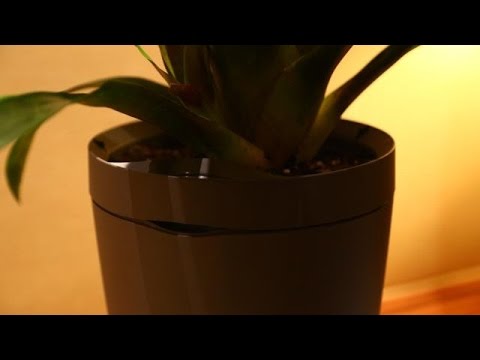 Parrot Pot Helps Keep Houseplants Alive - UCCjyq_K1Xwfg8Lndy7lKMpA