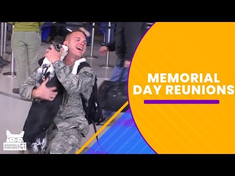 Military Reunions | Memorial Day 2019 - UCPIvT-zcQl2H0vabdXJGcpg