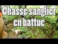 Chasse sanglier