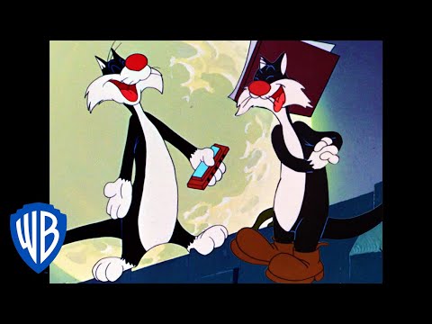 Looney Tunes | Back Alley Oproar | Classic Cartoon | WB Kids
