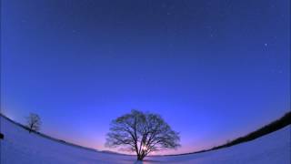 DAISHI DANCE - winter night melodies