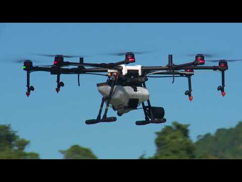 Using drones to save on pesticide costs and loss - UCU-T9V9ovorDUteaptPaatg