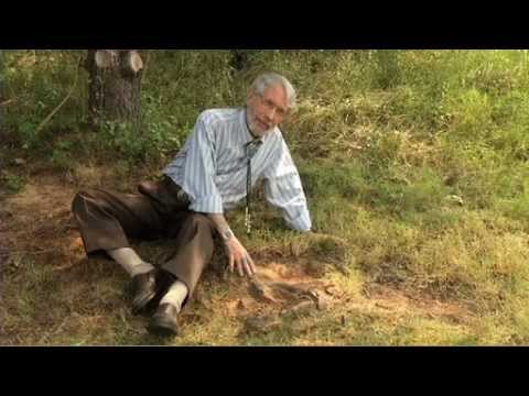 NASA Finds Dinosaur Footprint - On NASA Property | Video - UCVTomc35agH1SM6kCKzwW_g