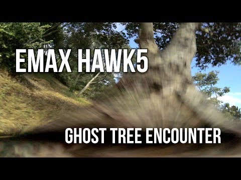 Emax Hawk5 vs Oak Tree - Will it survive? - UCQVJwoXbIYq36tMlg_7sZKw