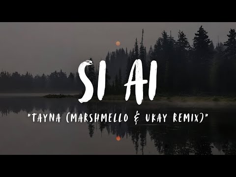 TAYNA - SI AI (MARSHMELLO & UKAY REMIX) LYRICS