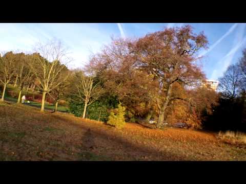 The Mini Voomer First Outdoor Flights - UCtpl0iFEzsrT9BW4ig-WBQA