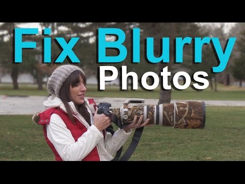 Blurry Pictures--What Causes Them and How to Get Sharp Photos! - UCDkJEEIifDzR_2K2p9tnwYQ