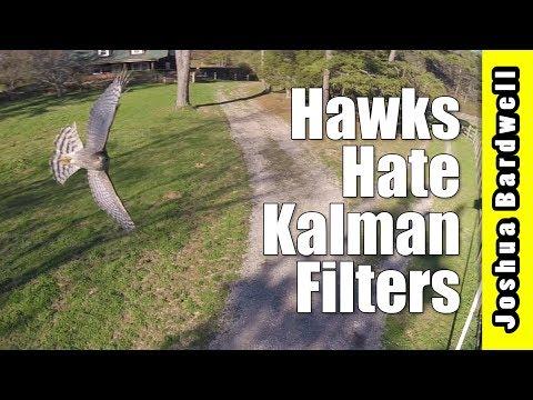 Betaflight 3.3 (not) Kalman Filter | FREESTYLE RIPPAGE - UCX3eufnI7A2I7IkKHZn8KSQ