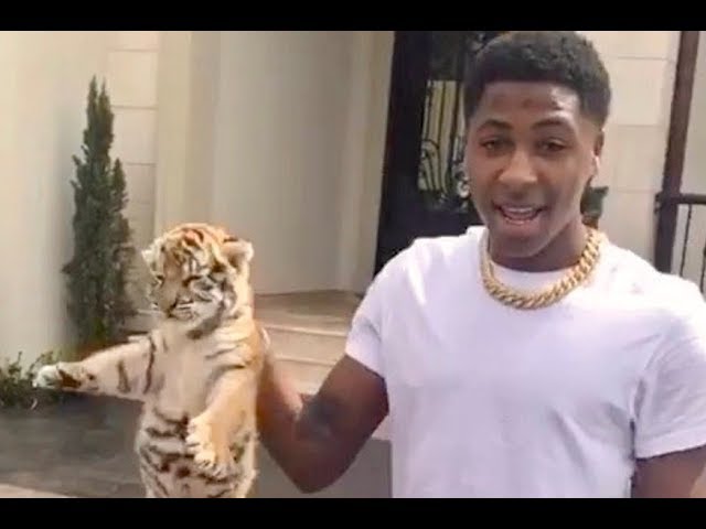 NBA Youngboy and the Power of the Tiger