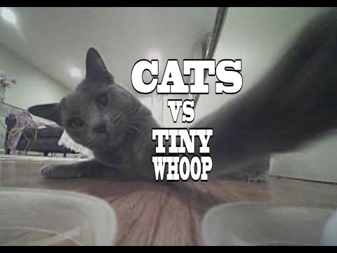 Cats VS Tiny Drones - Kitties of the World VS Tiny Whoop - When Cats Attack Compilation - UCim5VuuSlWP_mTHcq7nvW0A