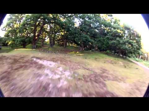 Speed Addict 250 \\ Gopro 2 60fps - UC4yBFa33tyvlwjnMFpjMTZw