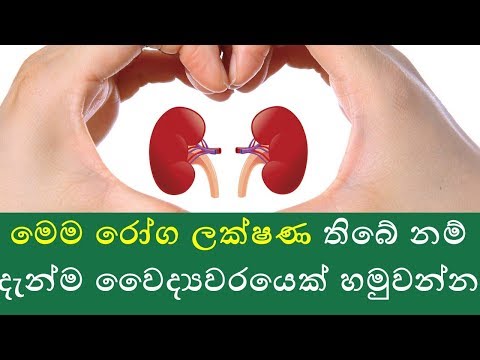 වකුගඩු රෝගය කල්තියා හදුනාගනිමු : ඔබටත් මේ රෝග ලක්ෂණ තිබේදැයි සැලකිලිමත් වෙන්න kidney disease
