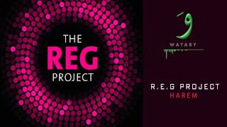 REG Project - 02 Harem